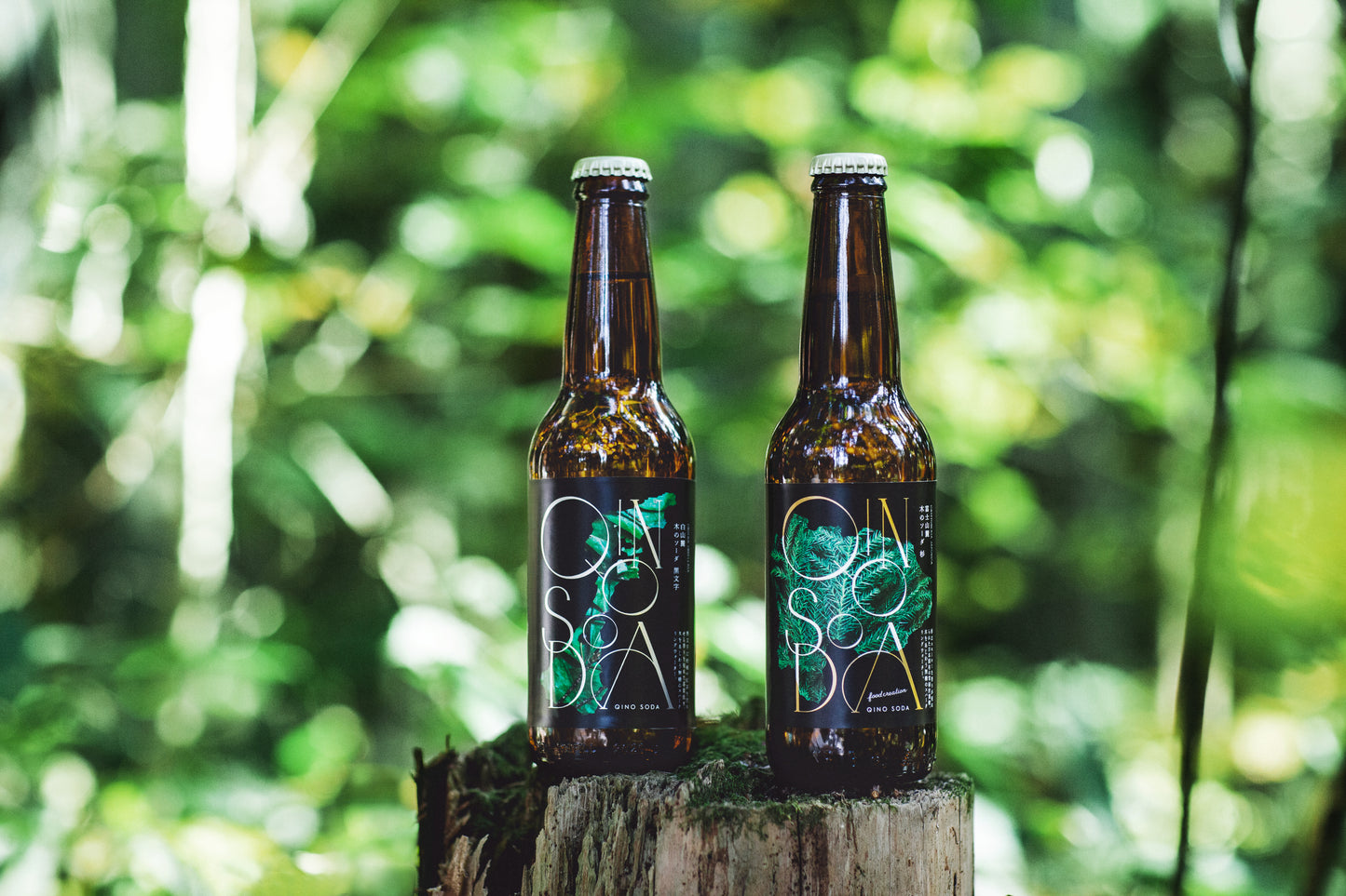 【お得な定期便】QINO SODA 黒文字&杉12本セット