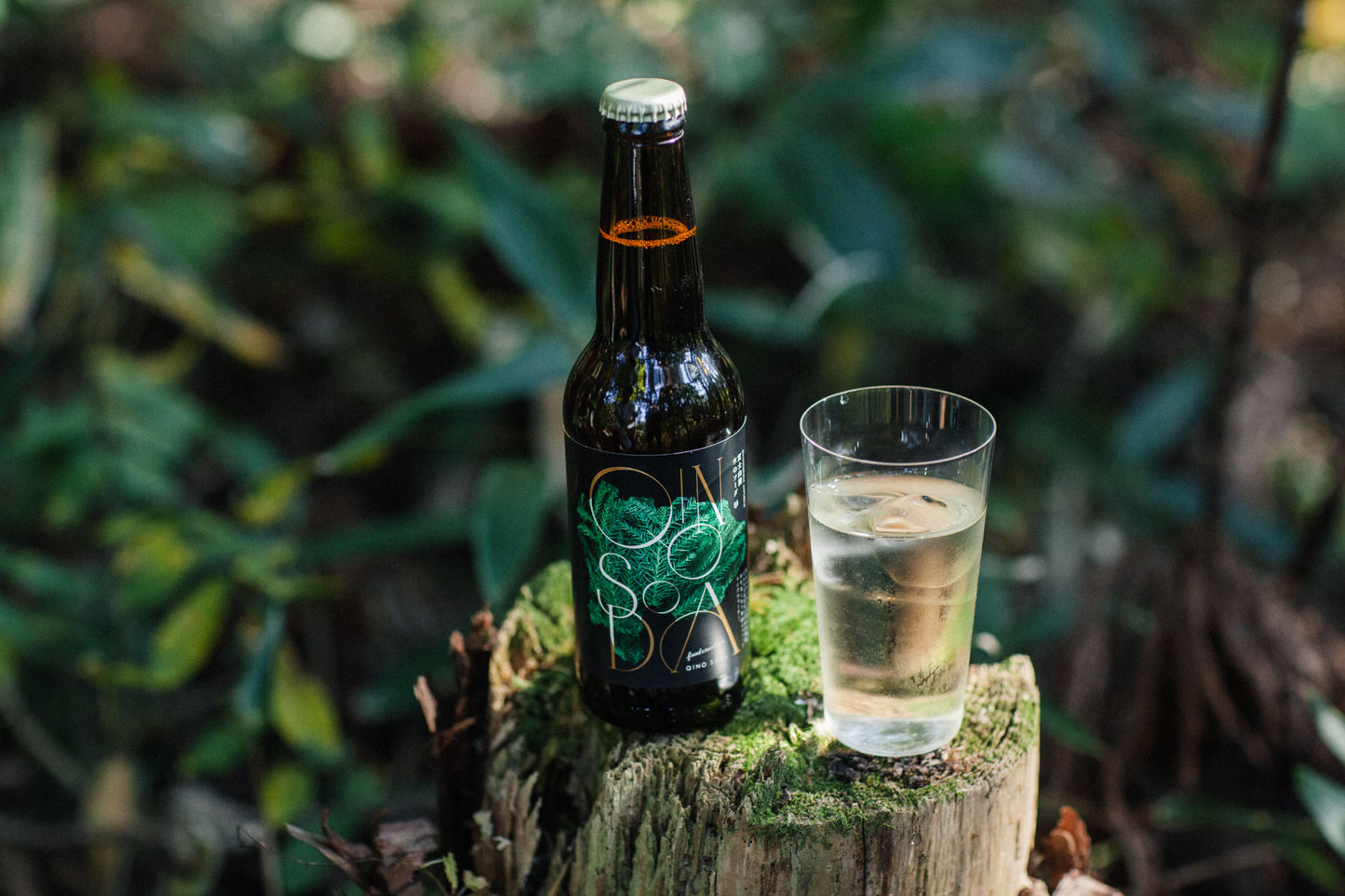 QINO SODA 杉 -富士山麓-