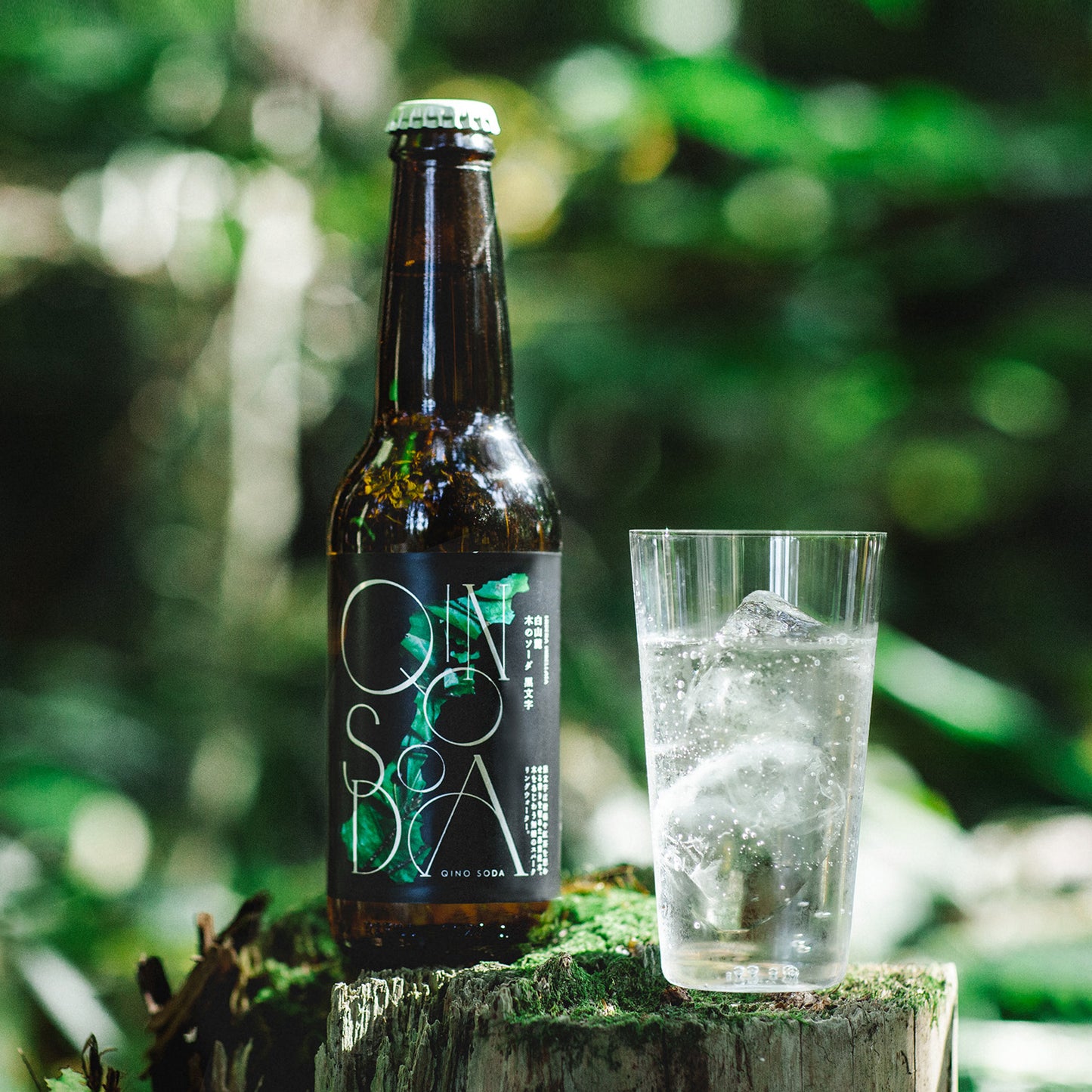 QINO SODA 黒文字 -白山麓-