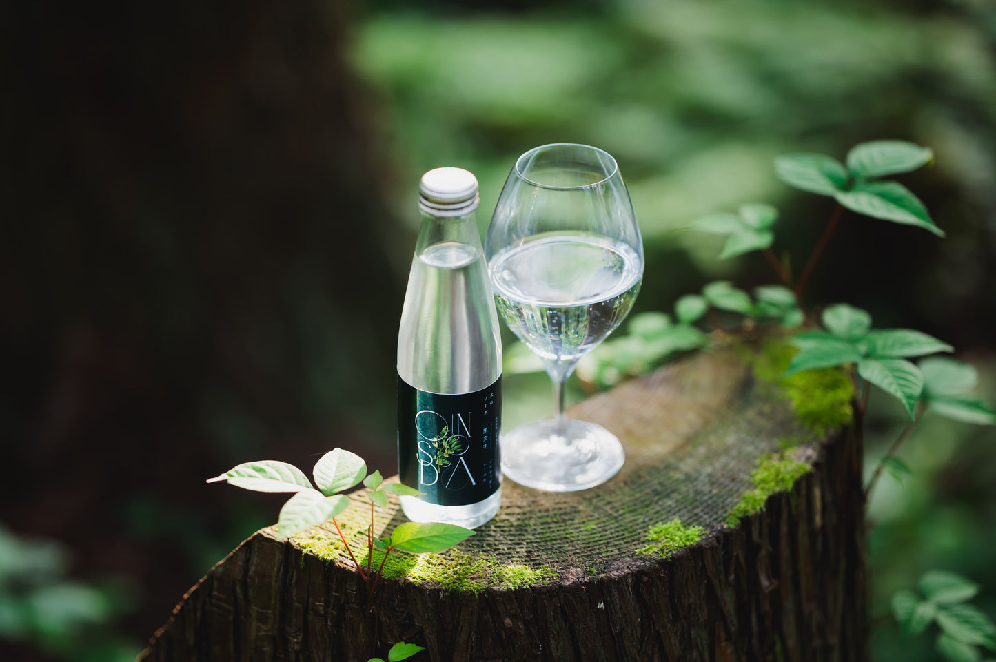 QINO SODA 黒文字 200ml